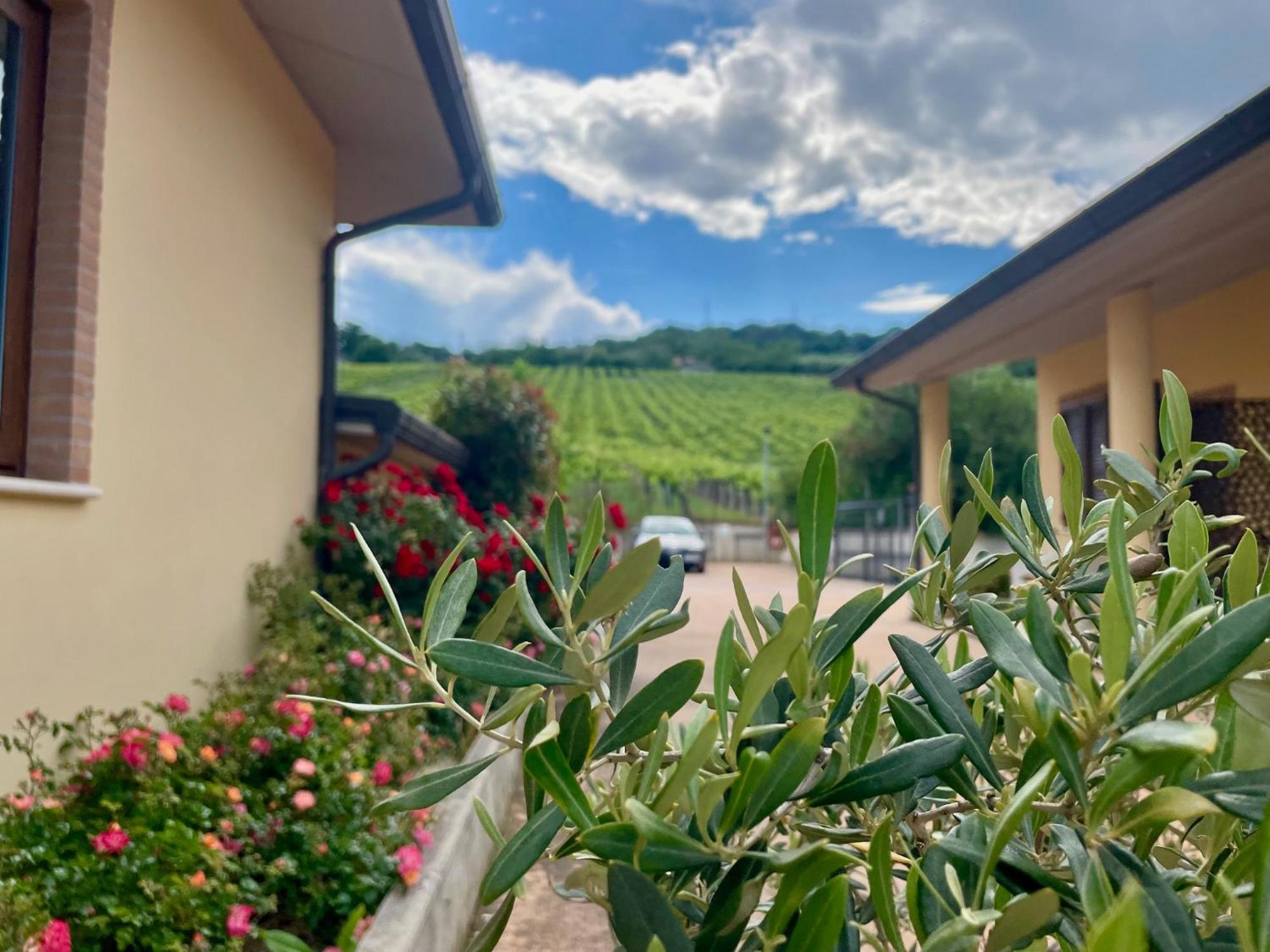 Vigneto - Italian Restaurant & B&B Villa Rosa Di Martinsicuro Exterior foto